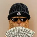 CATWIFMOTION $MOMO