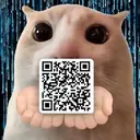 QrCat $QRCAT