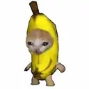 Banana Cat $BCAT