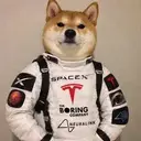 SpaceXSITeslaBoringaLink Inu $SI