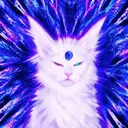 illusion $illusion