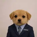 startpup $STARTPUP