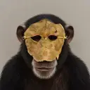 Anonymous Ape $Aape
