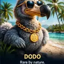 $DODO $$DODO