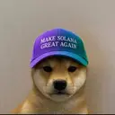 DOGGYMINE $$DGM