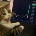 green cat $GrenCAT