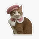 Preppy cat $pcat