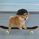 board inu $boardinu