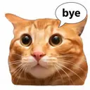bye $BYE