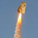 Doge Mooner $DM