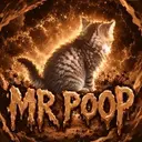 MRPOOP $MRPOOP