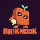 BRIKNOOK $$BRIKNOOK