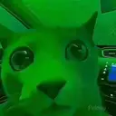Panic Cat $Panic Cat