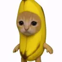 Banana Cat $Banana